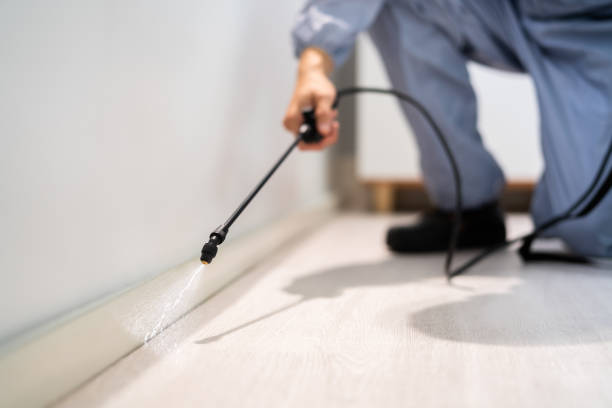 Bed Bug Pre-Treatment Preparation Assessment in Kennedale