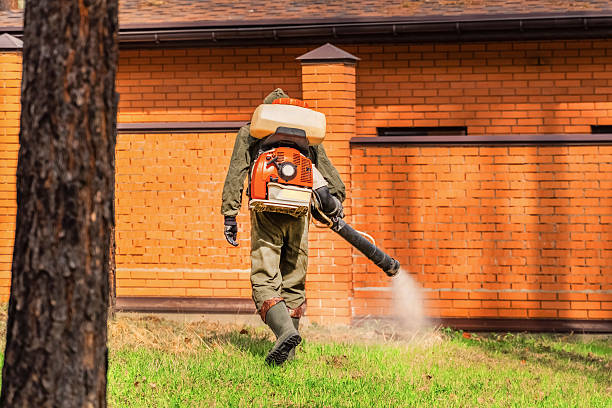 Bed Bug Clearance Verification and Documentation in Kennedale